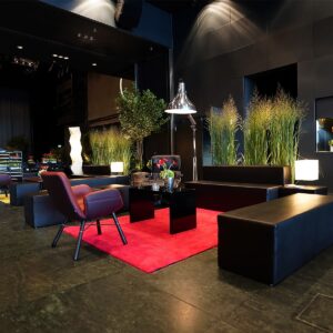 design sessel mit lounge mietmöbel und rotem teppich