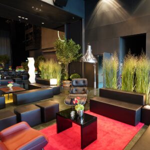 design lounge möbel mieten in schwarz mit rotem teppich