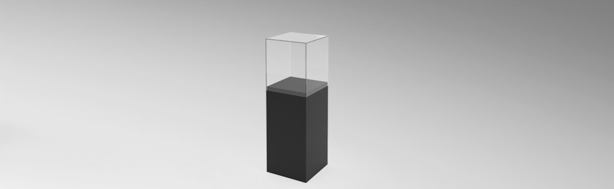 elegante schwarze vitrine mieten